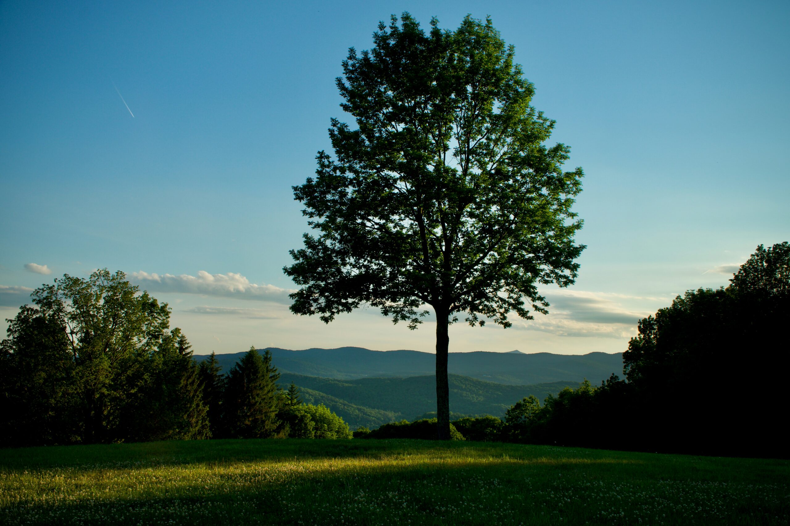 tom-dils-lpK_R4zk9SM-unsplash